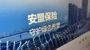 安盟财险因关联交易、关联方漏报等被罚47万，今年多次因数据不真实被罚-梵星网